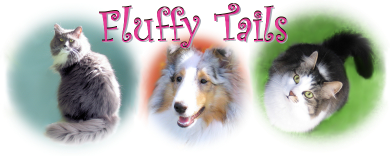 Welcome to Fluffy Tails