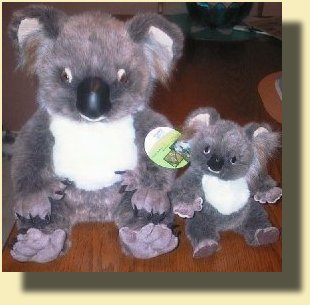 Stuffed Koalas