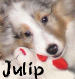Link to Julip's page