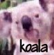 Link to Koala page